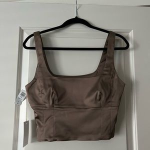 Aritzia Satin Shine Bustier